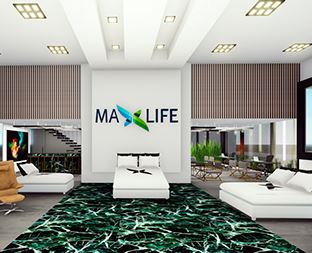 MAXLIFE--(1)_1p